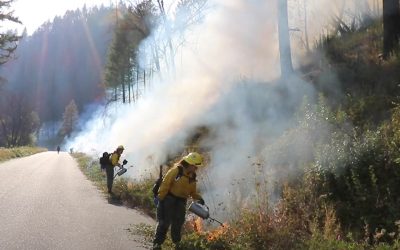 Bringing Healthy Fire Back to the Landscape