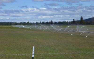 Innovative Partnership Saves Water and Energy