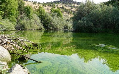 Avoid the Toxic Sludge This Holiday Weekend