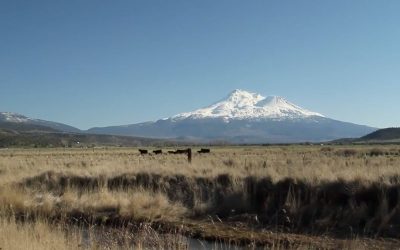 Fifth Generation Ranchers Learn to Grow Fish