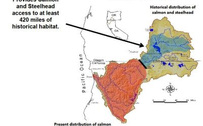 Springers: The Determined Delicacy of the Klamath River – Part II