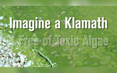 It’s Time to Detox the Klamath!