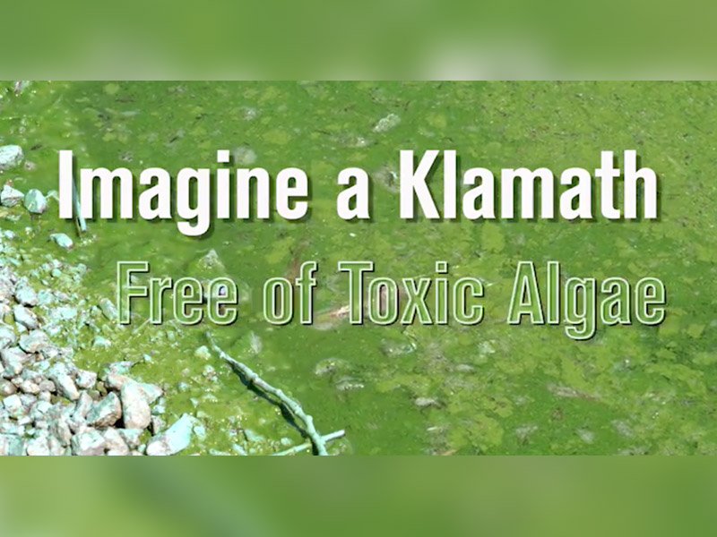 It’s Time to Detox the Klamath!