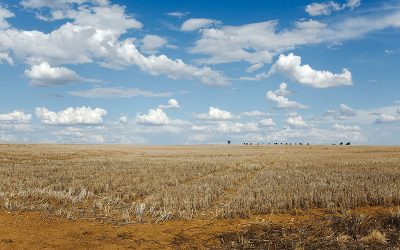 Drought Emergency Faces the Klamath