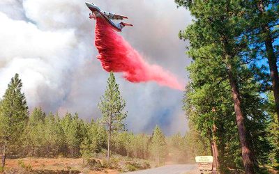The Bootleg Fire: Another Call to Action