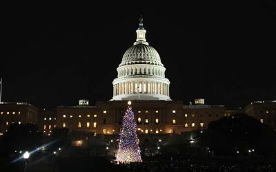 A Christmas Tree from the Klamath River Basin Will Adorn the Nation’s Capital