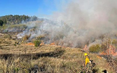 CA State Bills Enable the Return of Good Fire