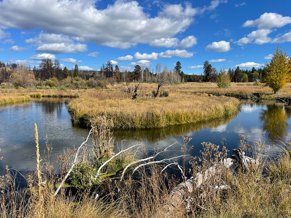 Blue sky, White clouds, Grassy field and winding river