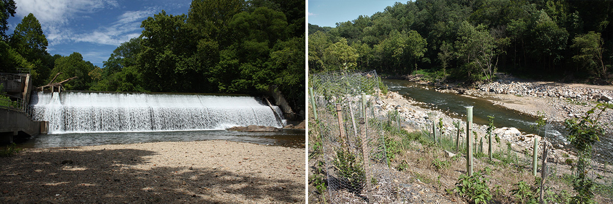 before and after Bloede Dam removal