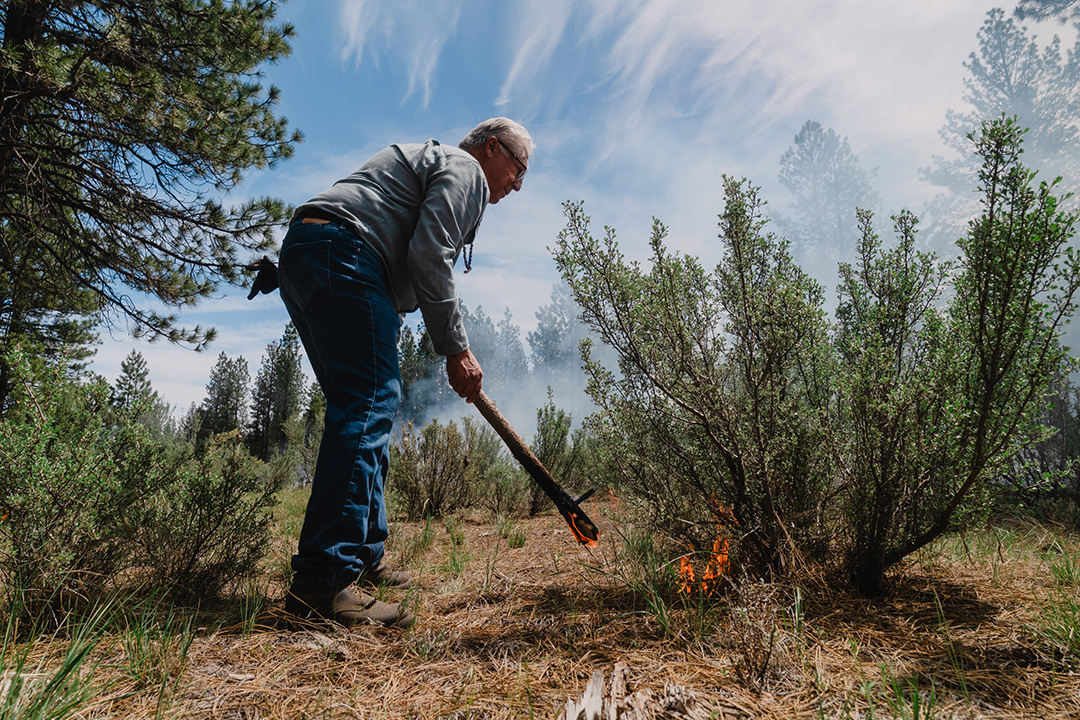 Man starting fire in the grass below a bush