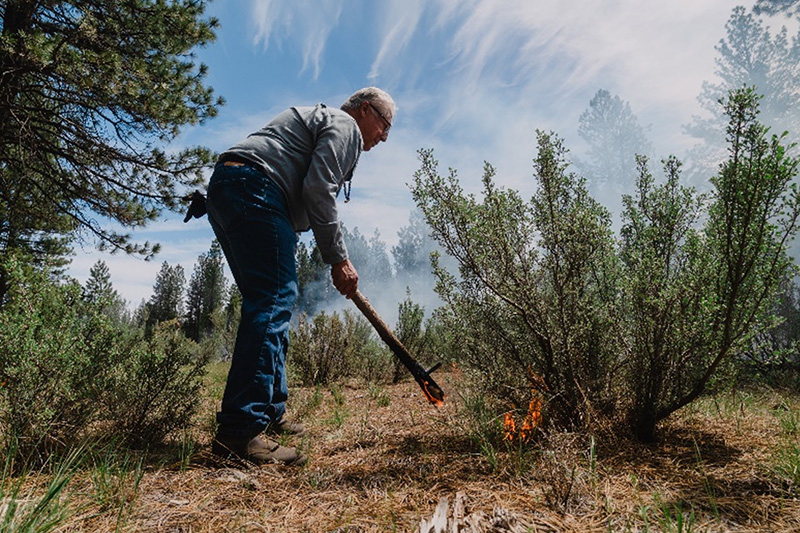 Man lighting grasses on fire under a bush