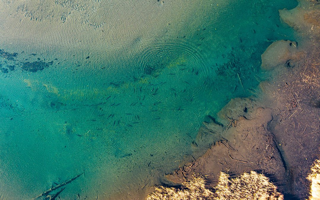 The River Runs Free. Now the Real Work Begins.