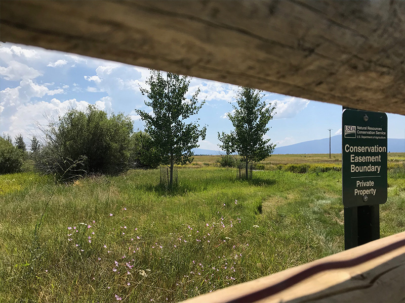 grassland area with a few trees and signage that says Conservation Easement