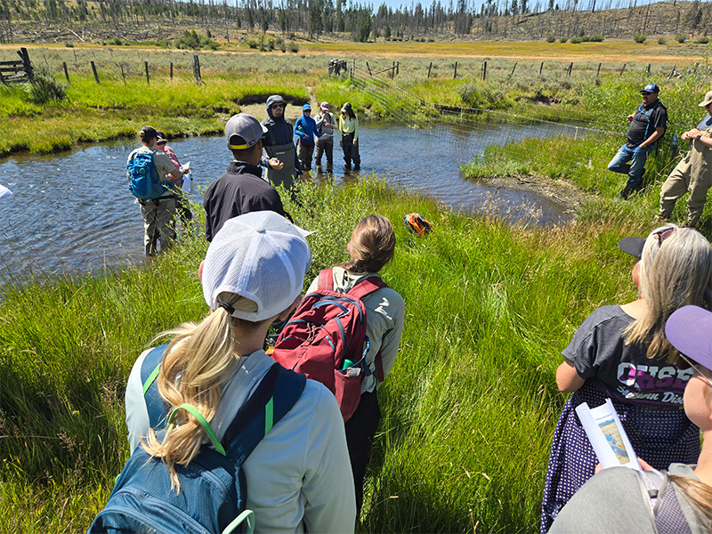 Several people standing around and in a grassy and marshy area. Demonstration of restoration on a body of water