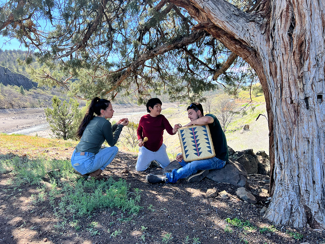 3 people sitting on the ground under the branch of a tree